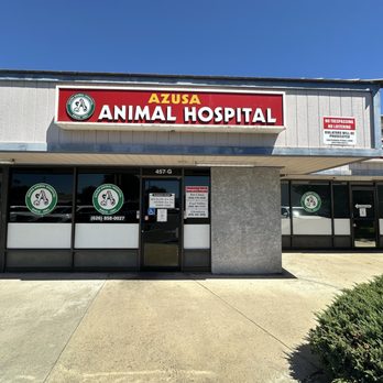 ヒロ・ヤマガタ VETERINARIAN HIROYAMAGATA ヒロ・ヤマガタ
