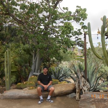 Moorten Botanical Garden - Nurseries & Gardening Near Me - Palm Springs, California Moorten Botanical Garden - Nurseries & Gardening Near Me - Palm Springs, California