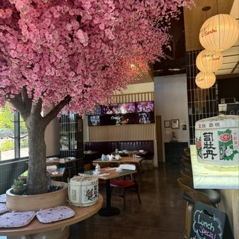 Crazy Sushi - Inside - Sushi Bars Near Me - Tigard, Oregon Crazy Sushi - Inside - Sushi Bars Near Me - Tigard, Oregon