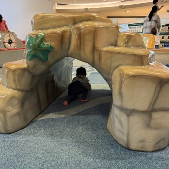 Kids' Cove - Playgrounds Near Me - Bellevue, Washington Kids' Cove - Playgrounds Near Me - Bellevue, Washington