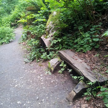 Garfield Nature Trail Park - Benches can be found at the two trail ends as well as this one at the half way point. - Parks Near Me - Olympia, Washington
