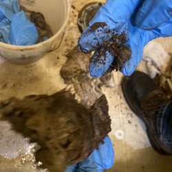 Westcoast Plumbing Service