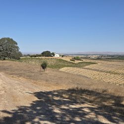 Steinbeck Vineyards & Winery - A view of Steinbeck Vineyards.