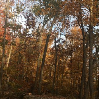 Sleeping Giant State Park - Nature's beauty. - Parks Near Me - Hamden, Connecticut