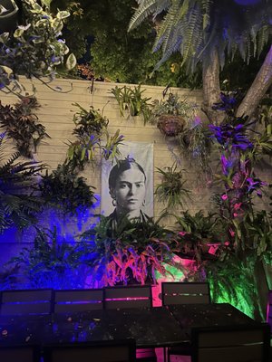 The Silver Fox by null