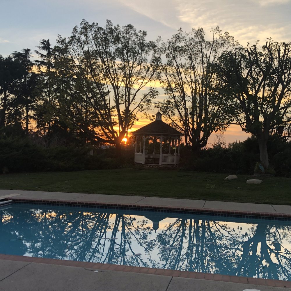 Real Tree Service - Nice and airy! - Tree Services Near Me Real Tree Service - Nice and airy! - Tree Services Near Me