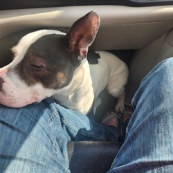 Longmont Police Dept - Arnold