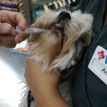 Petco - Pet Stores Near Me - Redondo Beach, California Petco - Pet Stores Near Me - Redondo Beach, California