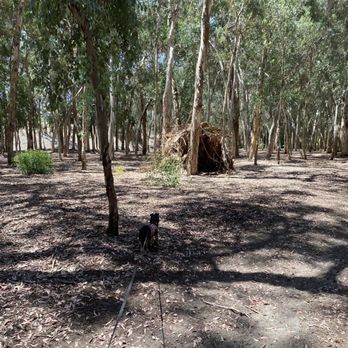 Serrano Creek Park - One of the two huts made by the local Boy Scouts of America - Parks Near Me - Lake Forest, California Serrano Creek Park - One of the two huts made by the local Boy Scouts of America - Parks Near Me - Lake Forest, California