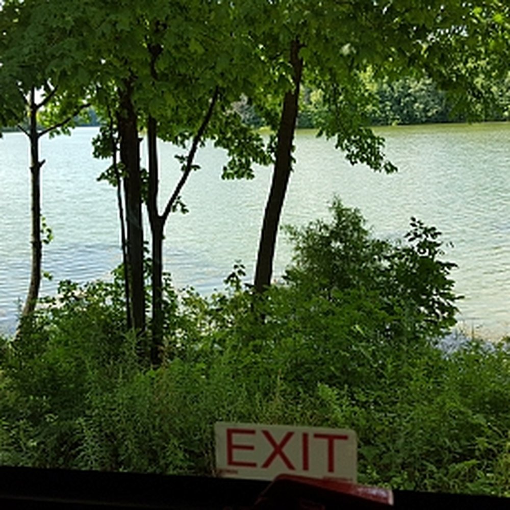 Moraine View State Recreation Area - campsite 19.  out our back window - Parks Near Me - Le Roy, Illinois