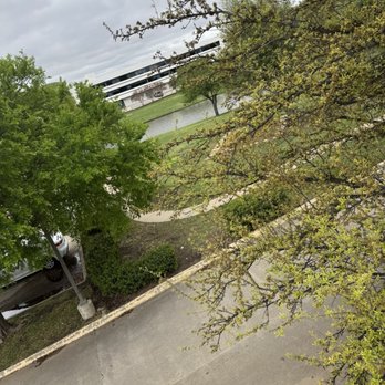 Irving Bible Church - Outside the patio overlooking calming park area - Churches Near Me - Irving, Texas