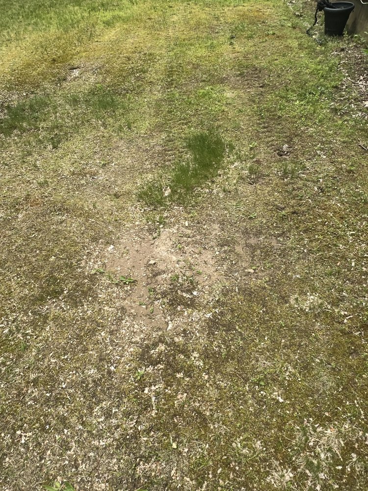 Slide of Bantam Wesson Energy