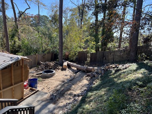 Tree Cutters of America