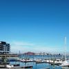 Marina Bay Marketplace gift card