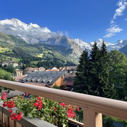Hotel Jungfraublick - 1st Floor Mountain View room