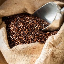 Humboldt Bay Coffee Co.