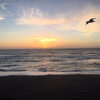 Moonstone Landing - Moonstone Beach at sunset. Photobombing seagull included! - Hotels Near Me - Cambria, California