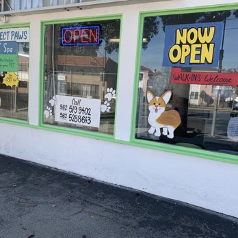 Grooming Cottage - Pet Groomers Near Me - Long Beach, California