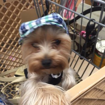 Petco - Pet Stores Near Me - Kapolei, Hawaii