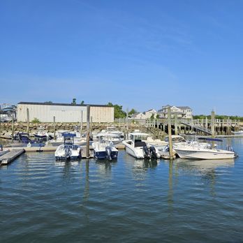 Hyannis Whale Watcher Cruises - Whale Watching Tours Near Me - Barnstable, Massachusetts Hyannis Whale Watcher Cruises - Whale Watching Tours Near Me - Barnstable, Massachusetts
