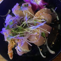 Just Yum!! Albacore! Just Yum!! Albacore!