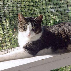 Animal Sanctuary and Care Society