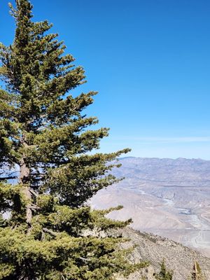 Palm Springs Aerial Tramway by null Palm Springs Aerial Tramway by null