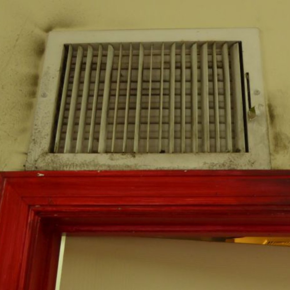 China Boy - Another familiar site in hole-in-wall Chinese restaurants. - Asian Fusion Near Me - Washington, DC, District of Columbia