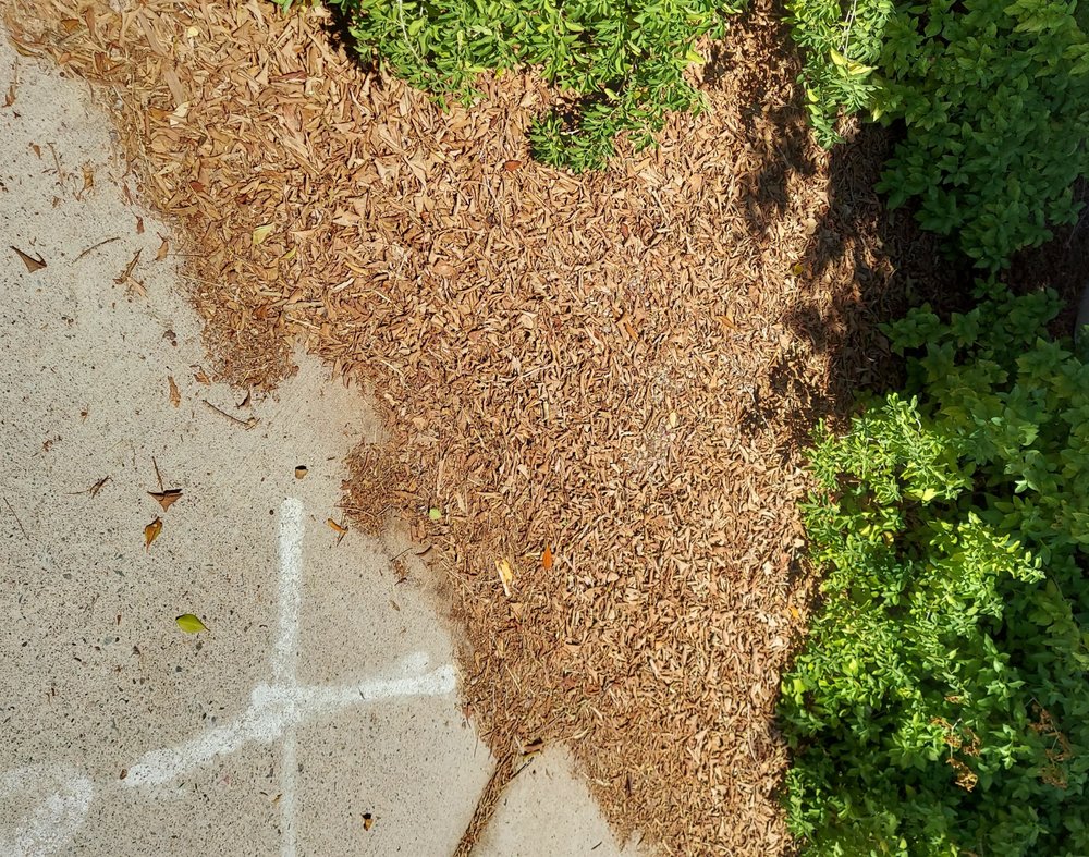 Premier Community Management - property management company in Chandler, AZ