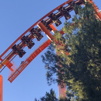 Tatsu - Amusement Parks Near Me - Valencia, California
