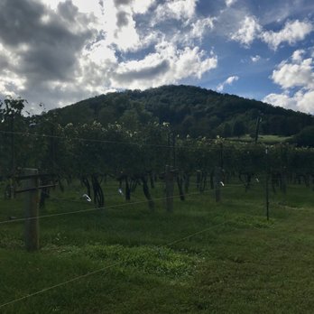 DuCard Vineyards - Wineries Near Me - Etlan, Virginia