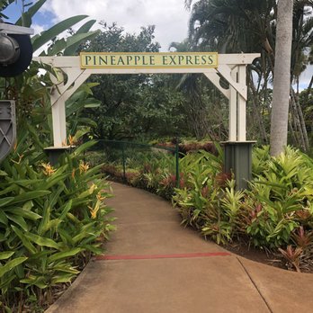 Hawaii Rainbow Tours - Tours Near Me Hawaii Rainbow Tours - Tours Near Me