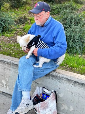 Pan Pacific Park by null