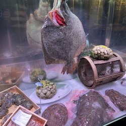 O'Cachelo - Display in bar.