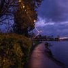 Lake Merritt gift card