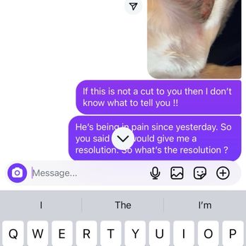 Dapper Dog Spa - Pet Groomers Near Me - Whittier, California