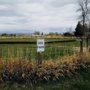 Photo of Soft Gold Dog Park