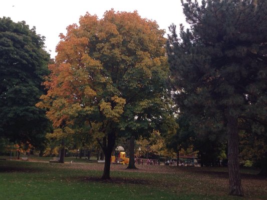 Parc Westmount by null