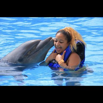 Dolphin Adventure - Me and "Melia" - Amusement Parks Near Me - Nuevo Vallarta, NAY