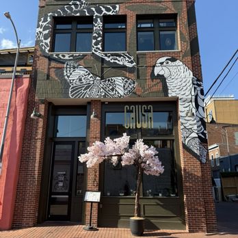 Causa Amazonia - Tapas/Small Plates Near Me - Washington, DC, District of Columbia