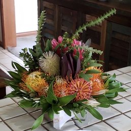 Maui Gem proteas