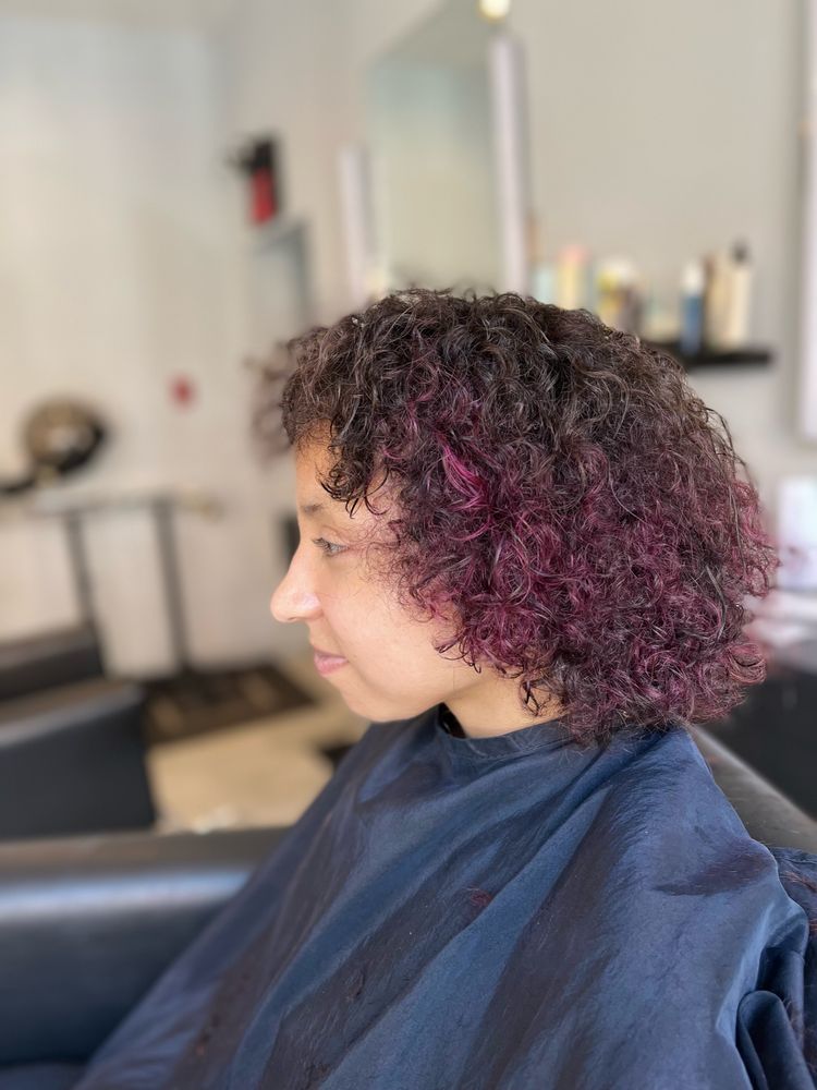 MODIFY THE HAIR ART STUDIO 101 Photos & 64 Reviews 1701 Christian