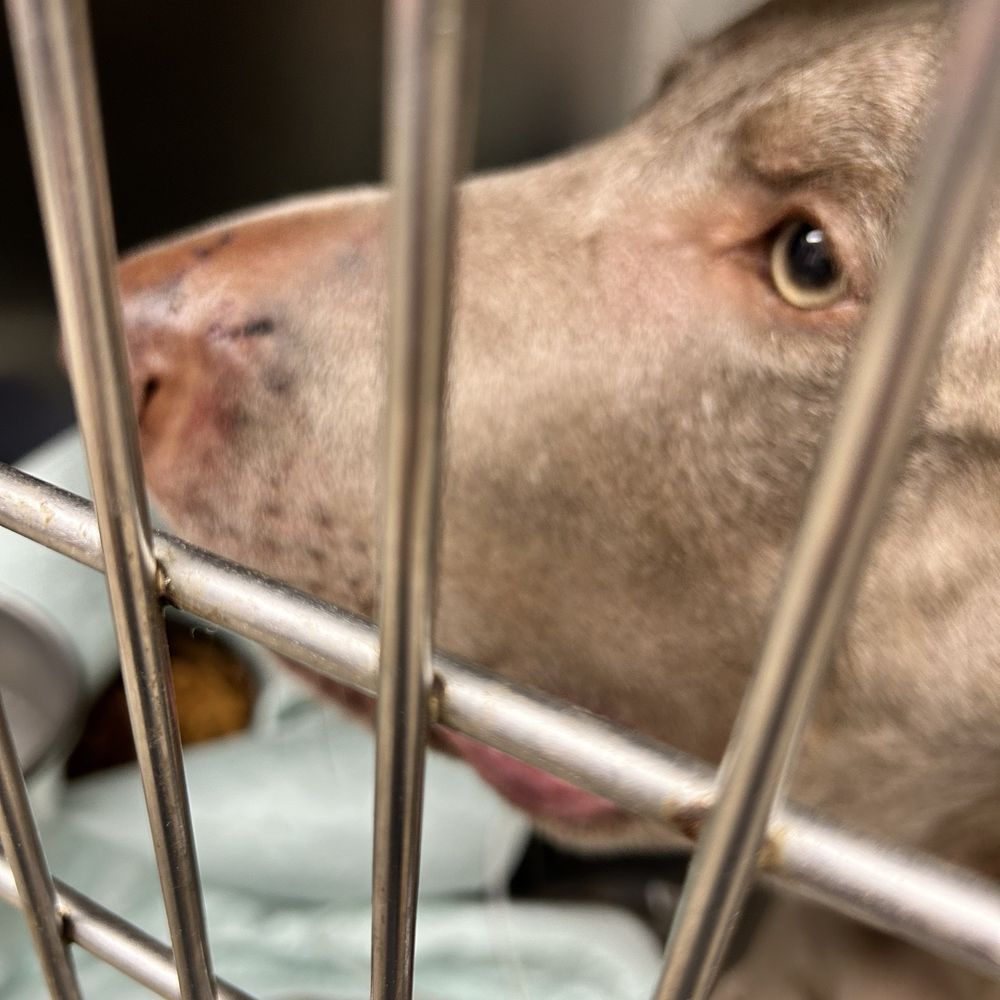 No. 2023-267, Appointment of Board of Directors for Harmony Haven Children  and Youth Center and sign Form L1C9165, Department of, image size:1000x1000