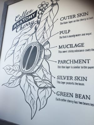 Menu photo 5 Starbucks Sylmar, CA Menu photo 5 Starbucks Sylmar, CA