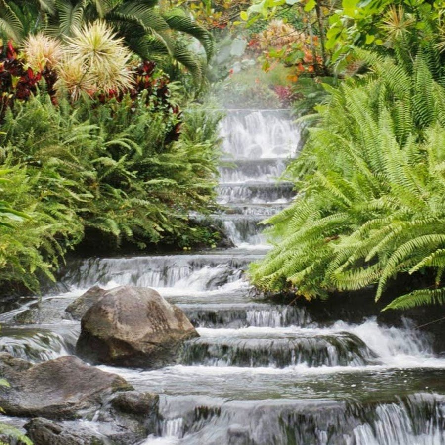 Adult Children of Alcoholics - grief counselor in Honolulu, HI