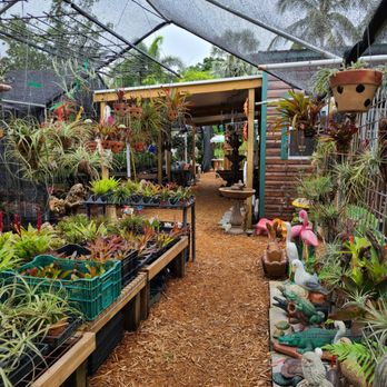 Tropic Plants - Nurseries & Gardening Near Me - Tamarac, Florida