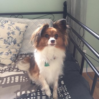 The Pampered Pet - Pet Stores Near Me - Ottawa, Ontario The Pampered Pet - Pet Stores Near Me - Ottawa, Ontario