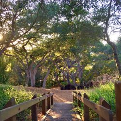 Escondido Park - Stairs down