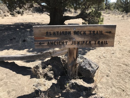 Oregon Badlands Wilderness by null