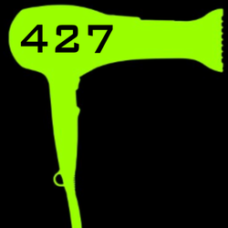 BlowDry 427 - NO Cuts. No Color, Just wash & blow dries.